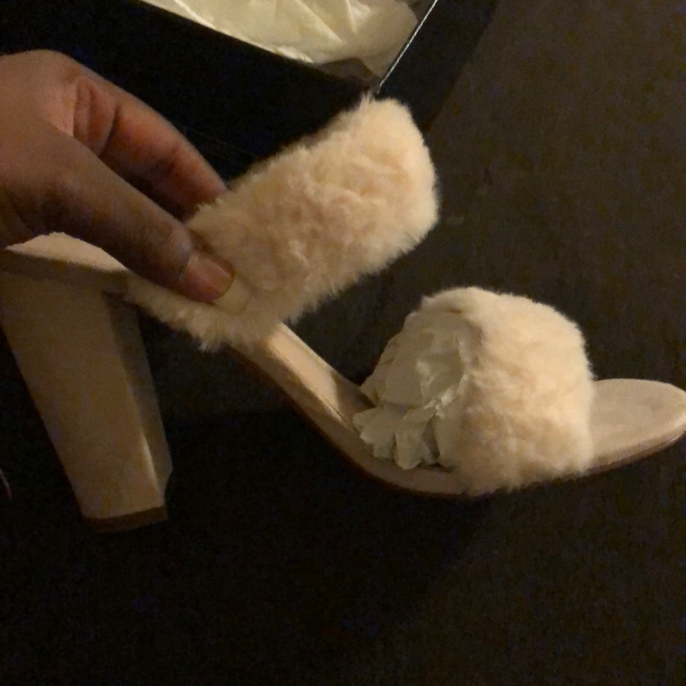 Fur Heels